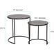 Carter 20.25 X 19 inch Graphite Nesting Table Set, Set of 2