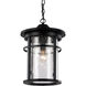 Avalon 1 Light 9 inch Rust Outdoor Hanging Lantern