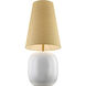 Aurora 40 inch 100 watt Table Lamp Portable Light