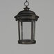 Dover LED LED 10 inch Bronze Outdoor Hanging Lantern