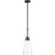 Lakewood 1 Light 8 inch Matte Black Pendant Ceiling Light, Essentials