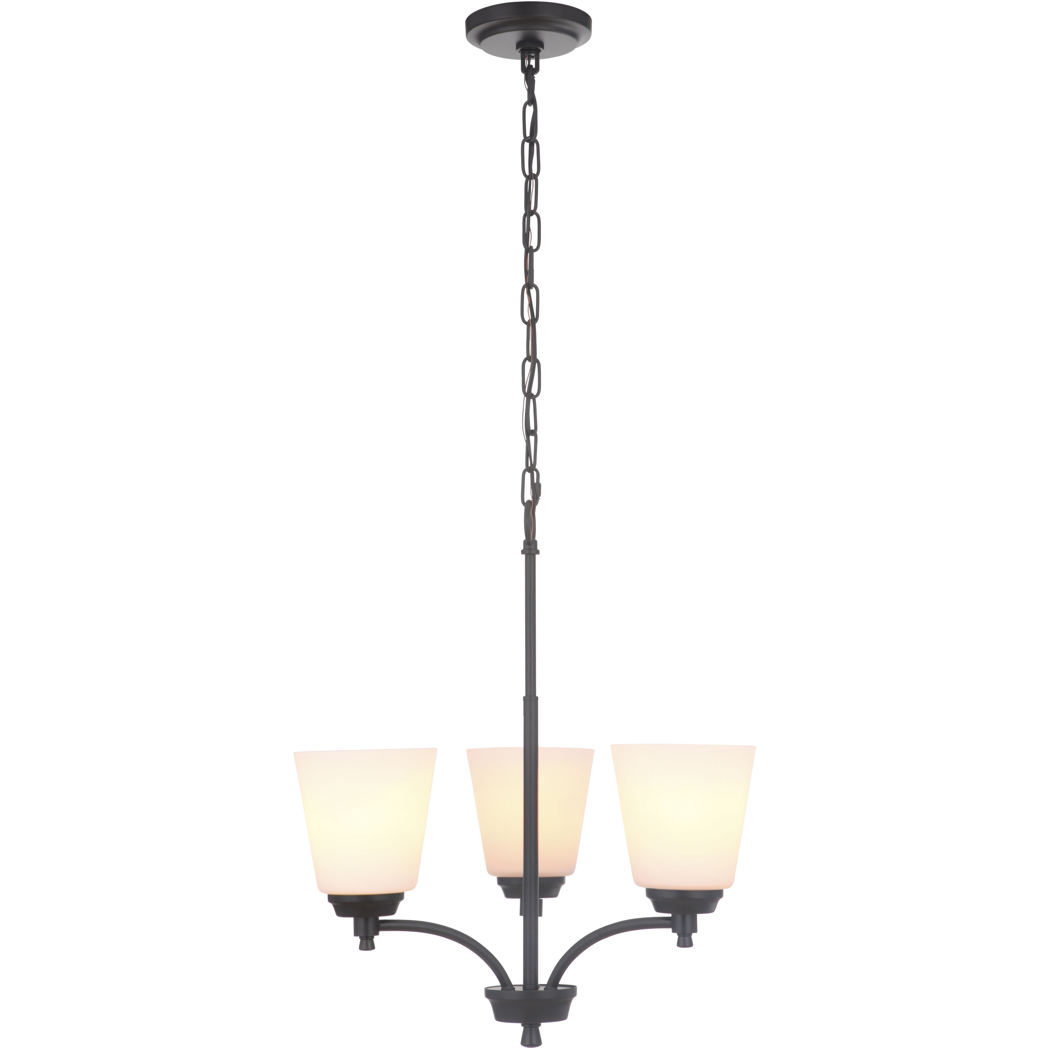 Neighborhood Tyler 3 Light 19.50 inch Chandelier