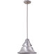 Union 1 Light 12 inch Satin Aluminum Outdoor Pendant, Medium