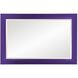 Avery 42 X 28 inch Glossy Royal Purple Wall Mirror