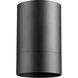 Cylinder 1 Light 4.25 inch Noir Outdoor Flush Mount