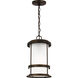 Wilburn 1 Light 8 inch Antique Bronze Outdoor Pendant Lantern