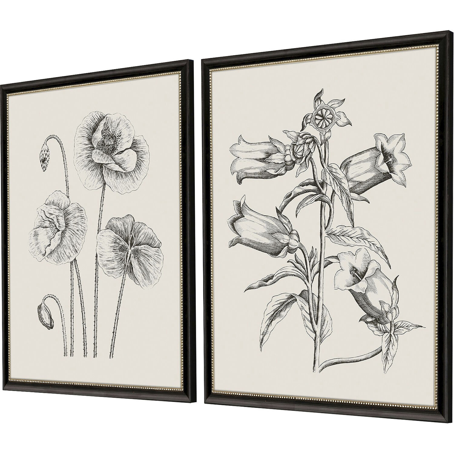 Garden Sketch Black and Beige and Neutral and White Framed Art