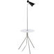 Policara 62.8 inch 60 watt Matte Nickel and Black with Clear Floor Lamp Portable Light