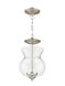 Home Basics 2 Light 8 inch Brushed Nickel Convertible Mini Pendant/Ceiling Mount Ceiling Light
