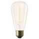 E26 Light Bulb