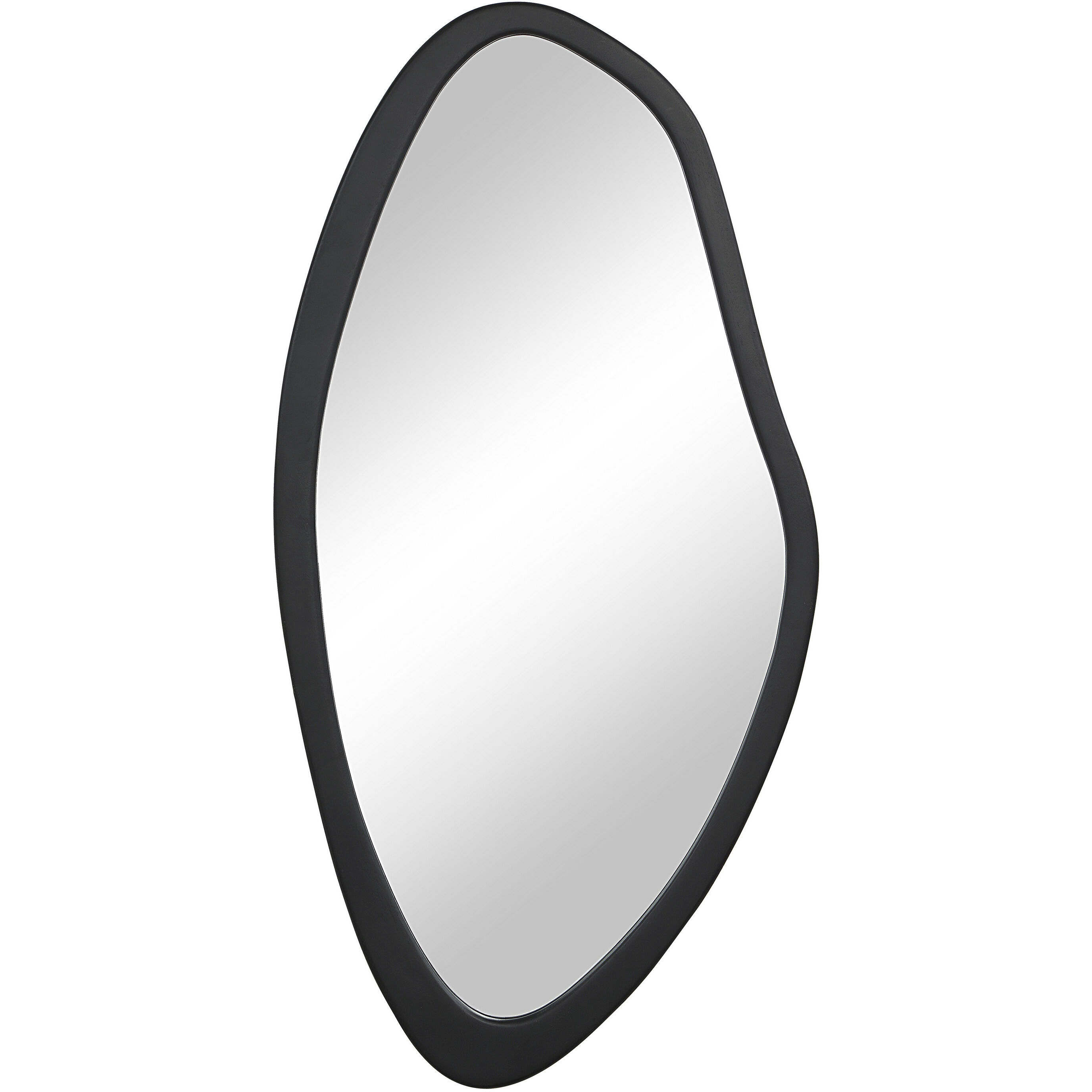 Trani 40 X 19.75 inch Matte Black Wall Mirror