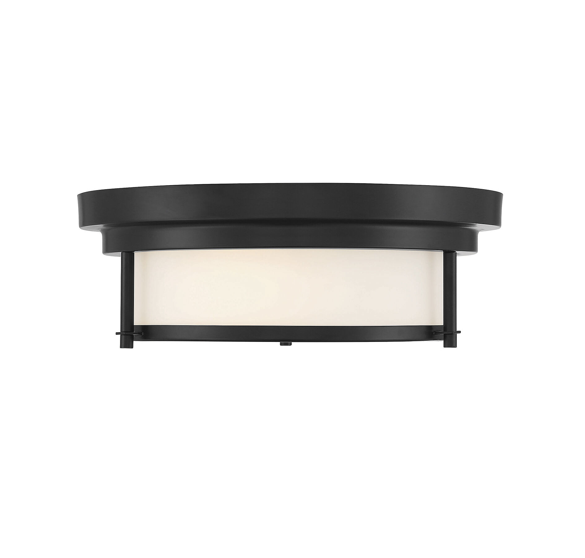 Contemporary 2 Light 13 inch Matte Black Flush Mount Ceiling Light