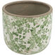 Flower Green and White Planter