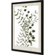 Botanique No. Green and Beige Framed Art, Propac