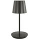 Sean Lavin Nevis 10.5 inch 2.40 watt Bronze Rechargeable Table Lamp Portable Light, Short