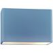 Ambiance LED 12 inch Sky Blue ADA Wall Sconce Wall Light