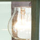 Hawthorne 1 Light 8.5 inch Painted Bronze Outdoor Sconce