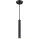 Baffin 1 Light 1.5 inch Multiple Finishes and Ebony Pendant Ceiling Light