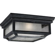 Outdoor Ceiling Lights