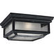 Sean Lavin Shepherd 2 Light 13 inch Dark Weathered Zinc Outdoor Flush Mount