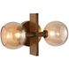 Chamberlin 2 Light 13 inch Smoke Sconce Wall Light