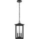 Carlisle 3 Light 9 inch Black Outdoor Pendant