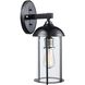 Blues 1 Light 17 inch Black and Brushed Nickel Outdoor Wall Lantern