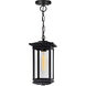 Oakwood 1 Light 6.9 inch Black Outdoor Hanging Light