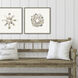Oyster Shell / Shell Series Beige and Neutral Framed Art