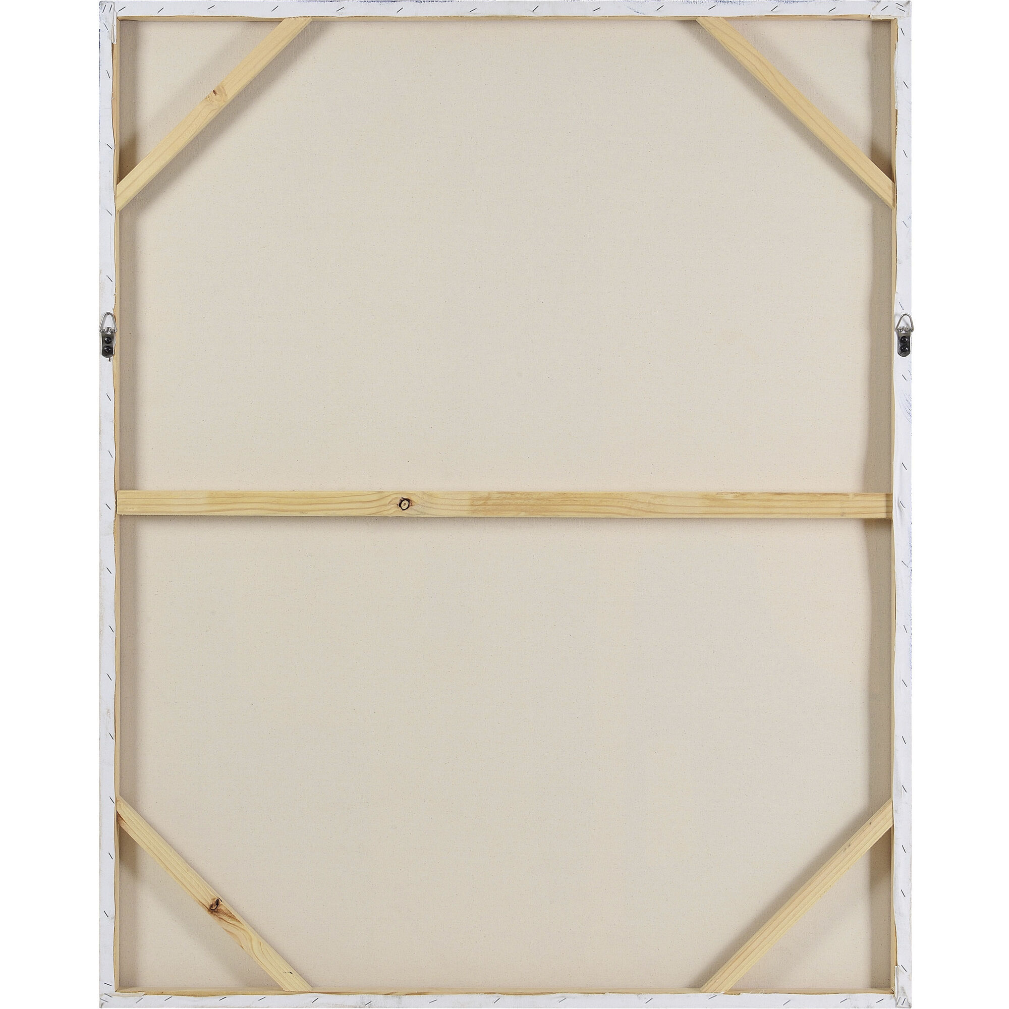 Citala Multicolor Canvas Art