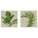 Palm Isle Green and Beige and Multi and Neutral Framed Art