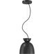 Ventura Dome 1 Light 7.5 inch Flat Black Mini Pendant Ceiling Light