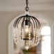 Voliere 1 Light 12.5 inch Matte Black Pendant Ceiling Light