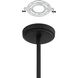 Dahlia LED 36 inch Plaster Black Chandelier Ceiling Light
