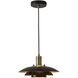 Rancho Mirage 1 Light 12 inch Matte Black and Weathered Brass Pendant Ceiling Light, Small