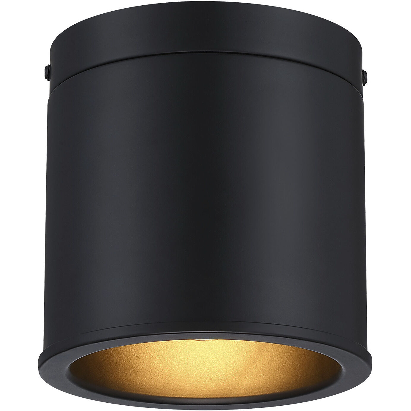 Fleur Oasis LED 6 inch Matte Black Flush Mount Ceiling Light