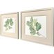 Fiddle Fig Leaf Green Framed Art, Propac