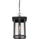 Everglade 1 Light 10.5 inch Earth Black Outdoor Hanging Lantern