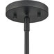 Pelham 2 Light 10 inch Matte Black Pendant Ceiling Light