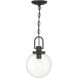 Wenston 1 Light 8 inch Sand Coal Outdoor Pendant, Great Outdoors