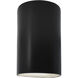 Ambiance Cylinder LED 12.5 inch Carbon Matte Black Outdoor Wall Sconce, Large