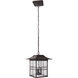 Dorset 3 Light 11 inch Aged Bronze Brushed Outdoor Pendant, Large