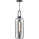 Alora Mood Soji Pendant Ceiling Light in Matte Black, Smoked Glass