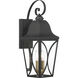 Cardigan Outdoor Wall Mount in Sand Coal and Olden Brass, Great Outdoors