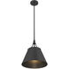 Willis 1 Light 14 inch Matte Black Pendant Ceiling Light