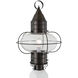 Classic Onion 1 Light 22.5 inch Bronze Outdoor Post Light