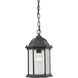 Spring Lake 1 Light 8 inch Matte Textured Black Outdoor Pendant