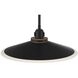 Deckard 1 Light 16 inch Gold and Black Outdoor Pendant