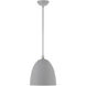 Arlington 1 Light 12 inch Nordic Gray with Brushed Nickel Accents Pendant Ceiling Light