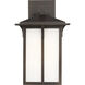Tomek 1 Light 14 inch Antique Bronze Outdoor Wall Lantern, Medium
